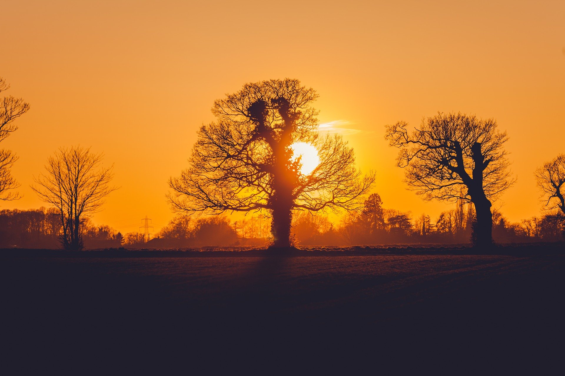 Henry Fersko Weiss Talks About End Of Life Doulas