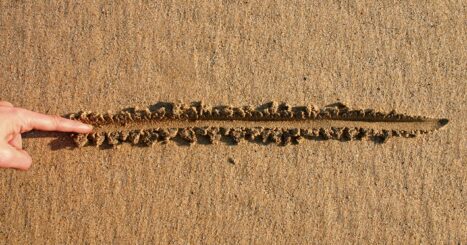 finger draws line in sand