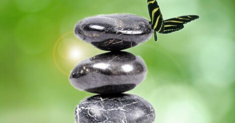 Butterfly perches on stacked stones