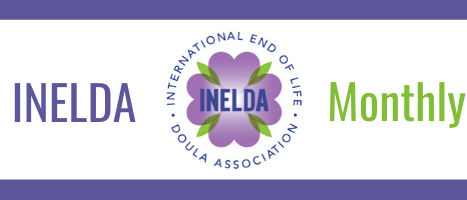 INELDA monthly newsletter header