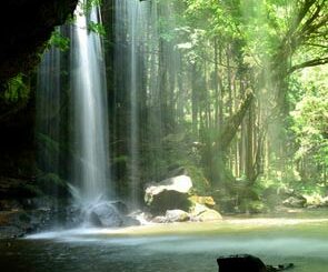 Waterfall and still pond in the forest