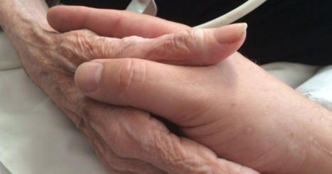 Eldery hand holds young hand