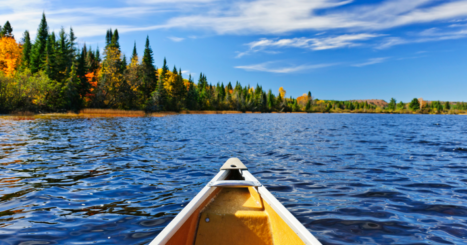 Canoe on lake on sunny day