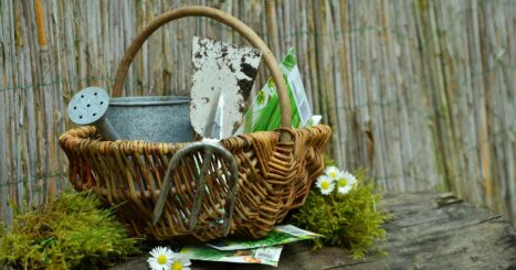 Basket full of gardening tools