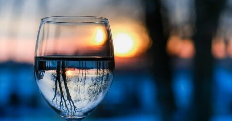 Trees reflected in glass of water