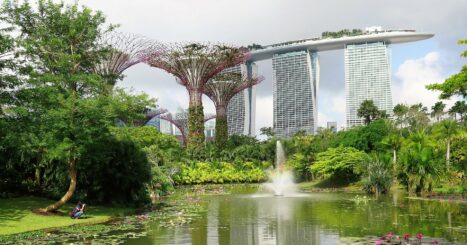 Singapore - peaceful pond in a green park with large skyscrapers in background