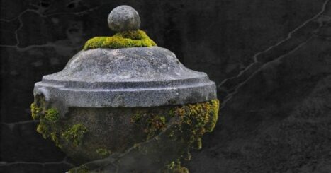 stone urn covered in moss