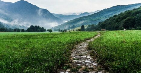 Rock path through a lush mountain valley