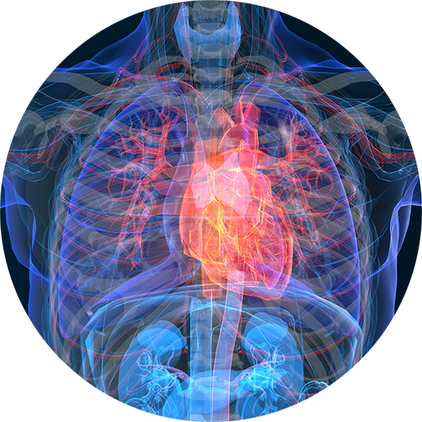 CIDRAP NEWS BRIEFS SEPTEMBER 18 2025 visual data 4