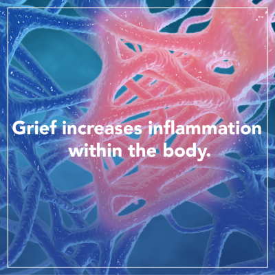 07.14.202_GRIEF_AND_INFLAMMATION_NEWS_BRIEF_1B