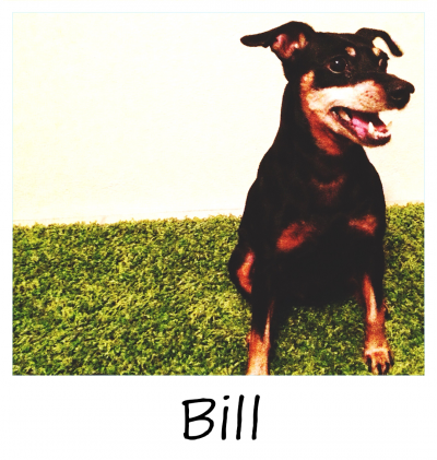 10.18.2022_TILLY_PROJECT_BILL_2