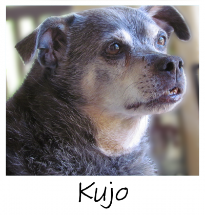 10.18.2022_TILLY_PROJECT_KUJO_2