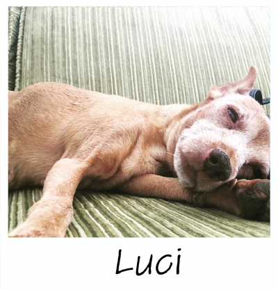 10.18.2022_TILLY_PROJECT_Luci_2