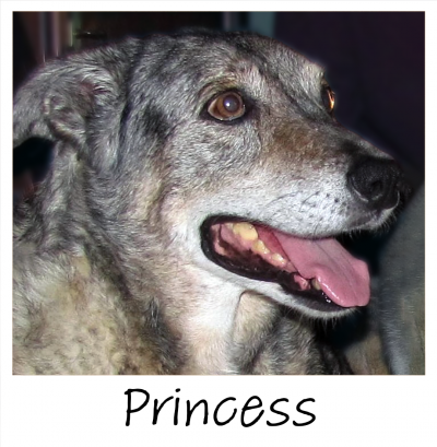 10.18.2022_TILLY_PROJECT_PRINCESS_2