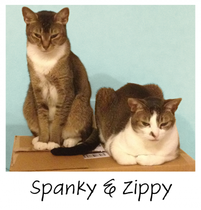 10.18.2022_TILLY_PROJECT_ZIPPY&SPANKY_2