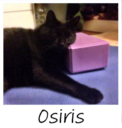 10.18.2022_TILLY_PROJECT_osiris_2